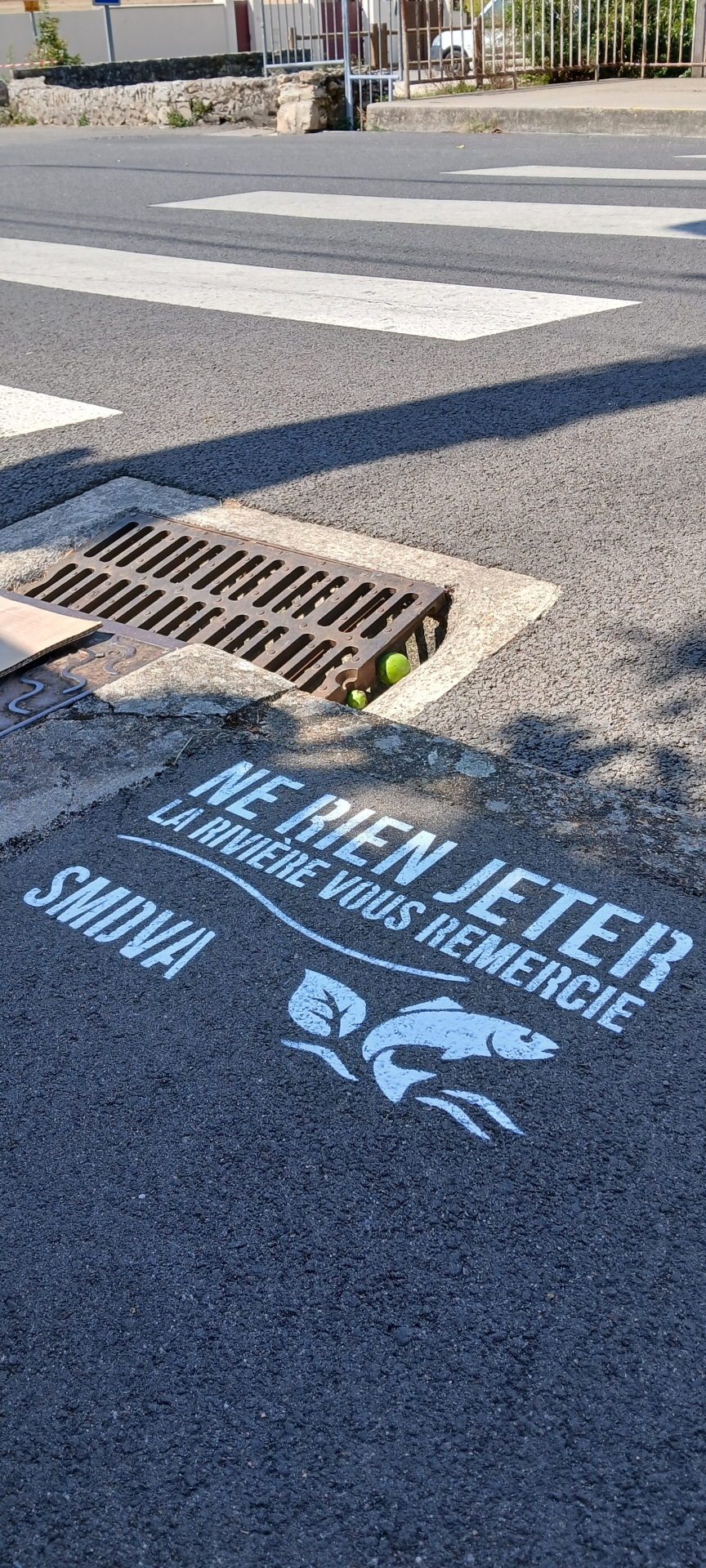 Opération Pochoir : le SMDVA s'invite dans la rue !