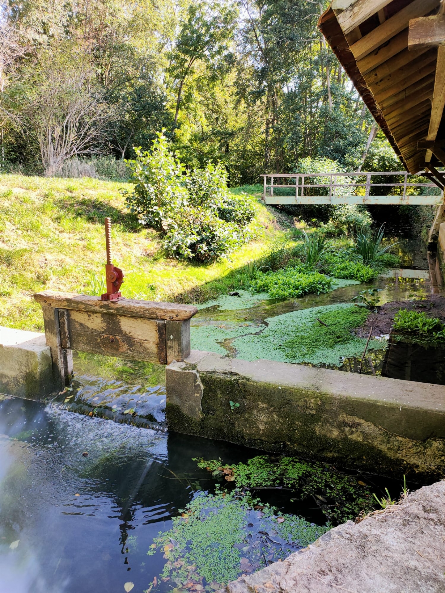 Une rivière plus vivante au lavoir d'Orphin !