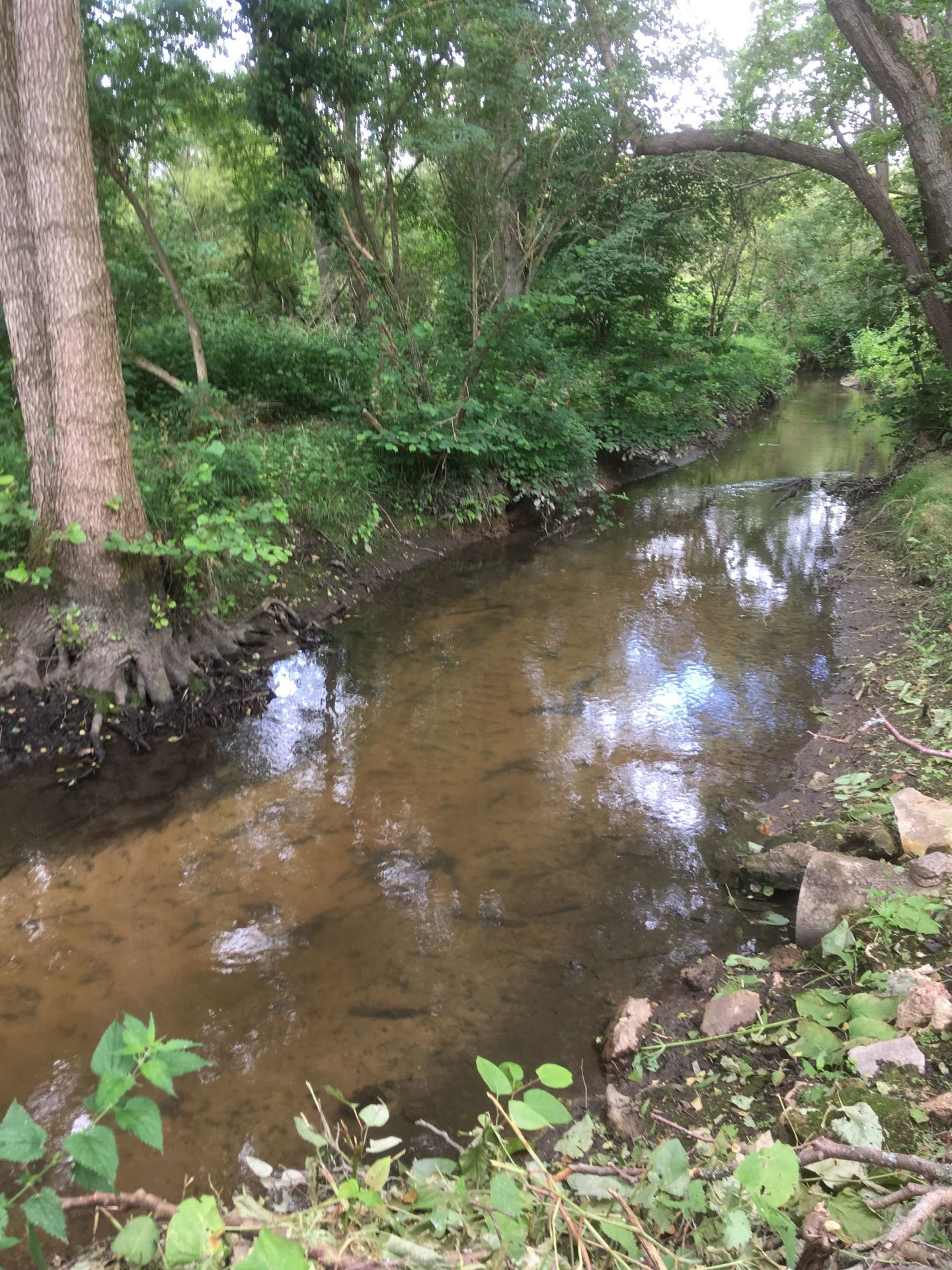 Sécheresse : Restriction de l'usage de l'eau sur le bassin versant de la Drouette !