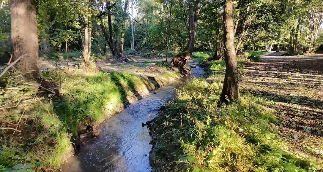 Les rivières du SMDVA retrouvent continuité et vitalité !