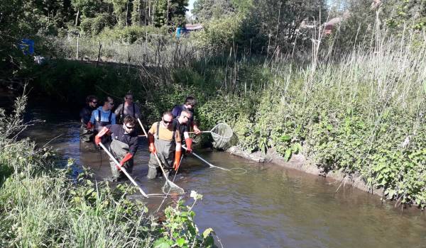 Inventaire piscicole sur la Drouette a Hanches (28)