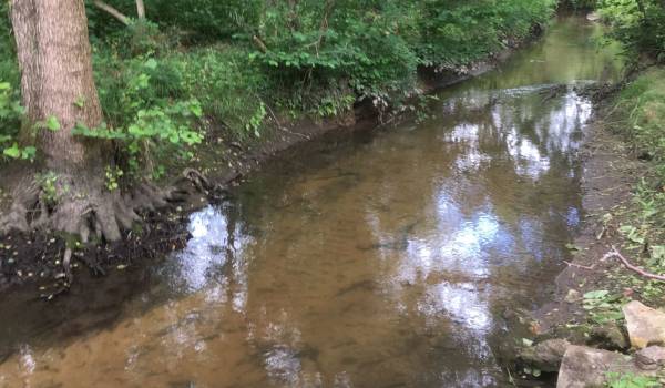 Sécheresse : Restriction de l'usage de l'eau sur le bassin versant de la Drouette !