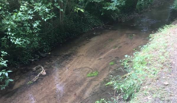Secheresse : La Drouette en alerte ! Secheresse : La Drouette en alerte !